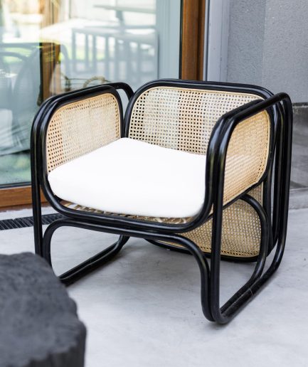 Sillon James